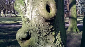 Tolkienowski stwór w piotrkowskim parku?