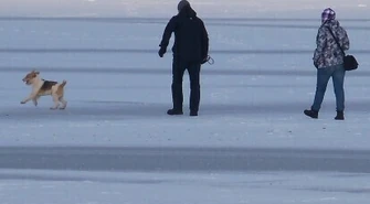 Spacerował po lodzie - uratowali go strażacy