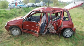 Zjechała na pobocze i uderzyła w drzewo