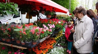 Piotrkowskie Targi Ogrodnicze przyciągnęły tłumy
