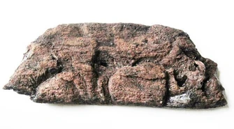 Skarb znaleziony na śmietniku (ZDJĘCIA)