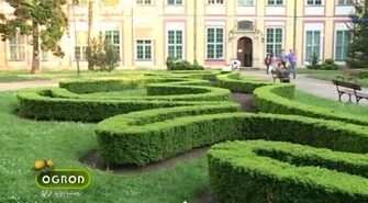 Poznaj zasady Feng Shui