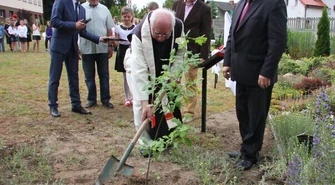 Przy podstawówce w Sulejowie rośnie już potomek Dębu „Cysters”
