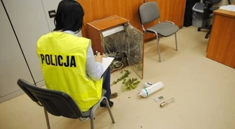 Zatrzymani z marihuaną