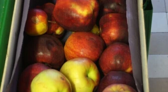 Sobie na zdrowie, Putinowi na złość, czyli co nam daje akcja "Jedz polskie jabłka"