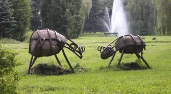 A może trochę wysiłku dla każdego?