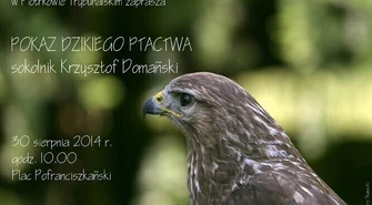 Pokaz dzikiego ptactwa na placu Pofranciszkańskim