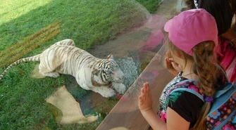 Dzieci z Piotrkowa na safari w Borysewie 