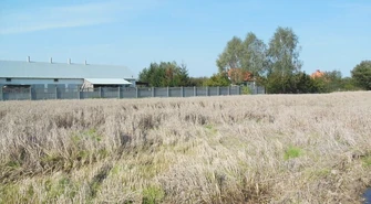 Nieudane żniwa w gminie Ręczno