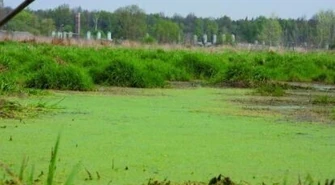 Najlepsze agrokurorty i zwycięzcy &#8222;Przyjaznej Wsi&#8221;