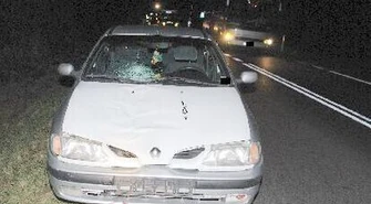 Piesza zginęła w wypadku