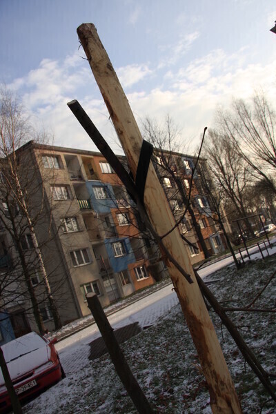 Zdjęcie 4: Komu nie podobały się drzewka?