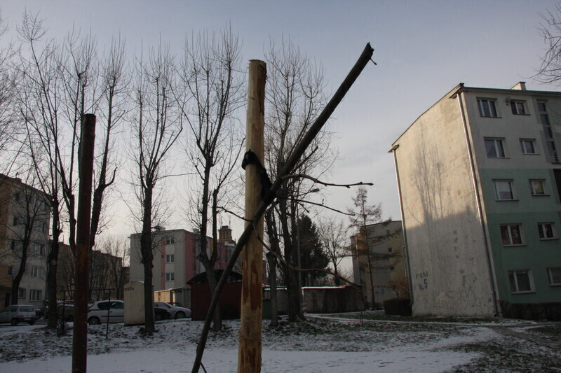 Zdjęcie 9: Komu nie podobały się drzewka?