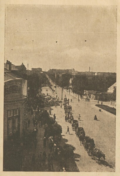 Zdjęcie 3: Piotrkowscy rycerze bata