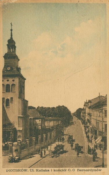 Zdjęcie 5: Piotrkowscy rycerze bata