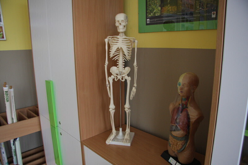 Zdjęcie 9: ZSP nr 2 w Piotrkowie ma nową ekopracownię 