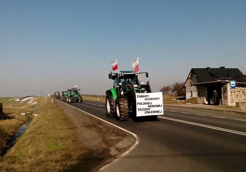Zdjęcie 15: Rolnicy dotarli do Piotrkowa