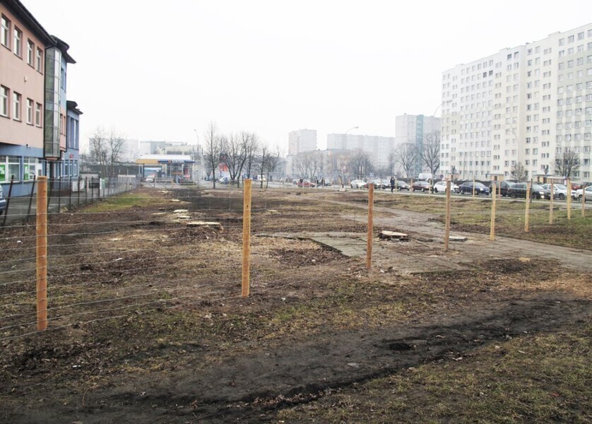 Al. Armii Krajowej Wycięli drzewa będą budować