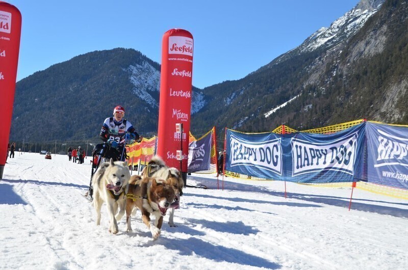 Zdjęcie 2: Obronił tytuł mistrza świata w wyścigach psich zaprzęgów 