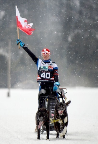 Zdjęcie 4: Obronił tytuł mistrza świata w wyścigach psich zaprzęgów 