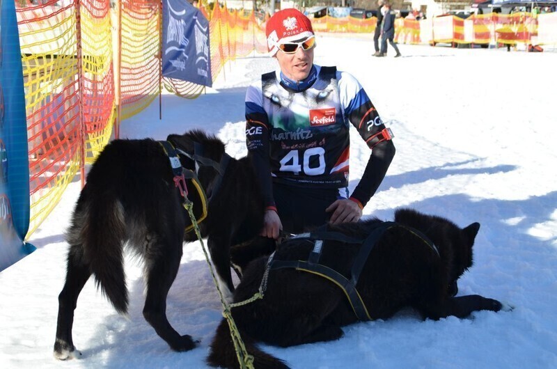 Zdjęcie 5: Obronił tytuł mistrza świata w wyścigach psich zaprzęgów 