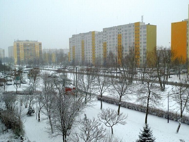 Co z pieniędzmi z akcji Zima