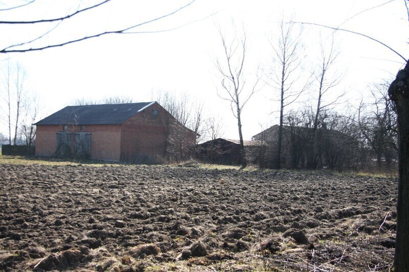 Zdjęcie 4: Zwłoki wykopane na posesji w gminie Grabica 