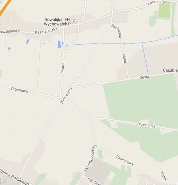 Zdjęcie 5: Ulica Wiatraczna zapomniana przez władze miasta?