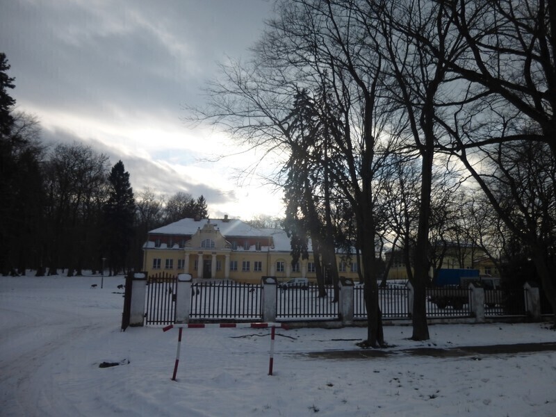 Zdjęcie 5: Stary park będzie jak nowy