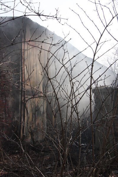 Zdjęcie 6: Przy Mireckiego zapaliły się śmieci