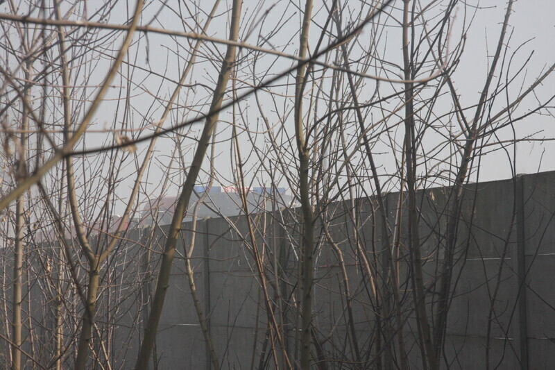 Zdjęcie 7: Przy Mireckiego zapaliły się śmieci