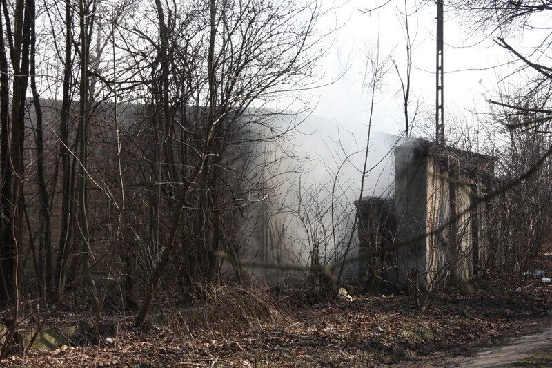 Zdjęcie 9: Przy Mireckiego zapaliły się śmieci