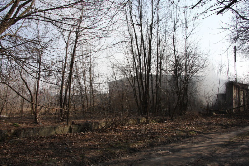 Zdjęcie 10: Przy Mireckiego zapaliły się śmieci