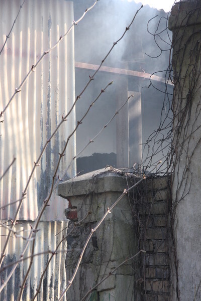 Zdjęcie 11: Przy Mireckiego zapaliły się śmieci