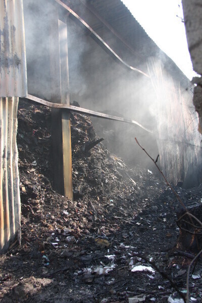 Zdjęcie 12: Przy Mireckiego zapaliły się śmieci