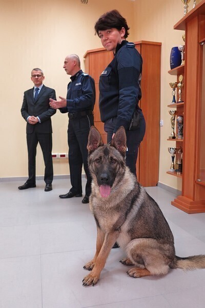 Zdjęcie 2: Nania wykryje narkotyki