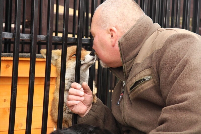 Zdjęcie 2: Ratują jeże, dziki, bociany... Wkrótce rozbudują Osadę w Kole