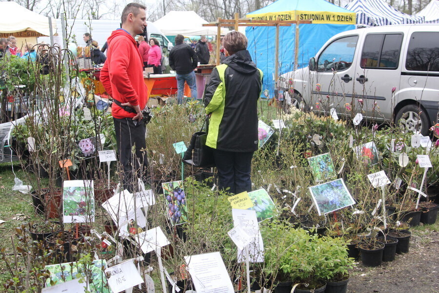 X Piotrkowskie Targi Ogrodnicze Pamiętajmy o ogrodach