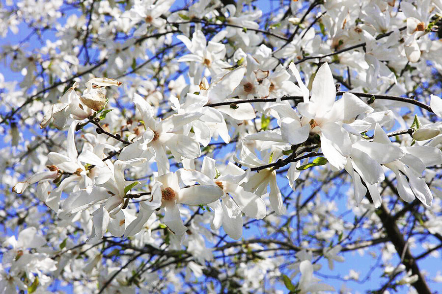 Sobota i niedziela będą znakomite. Potem ochłodzenie