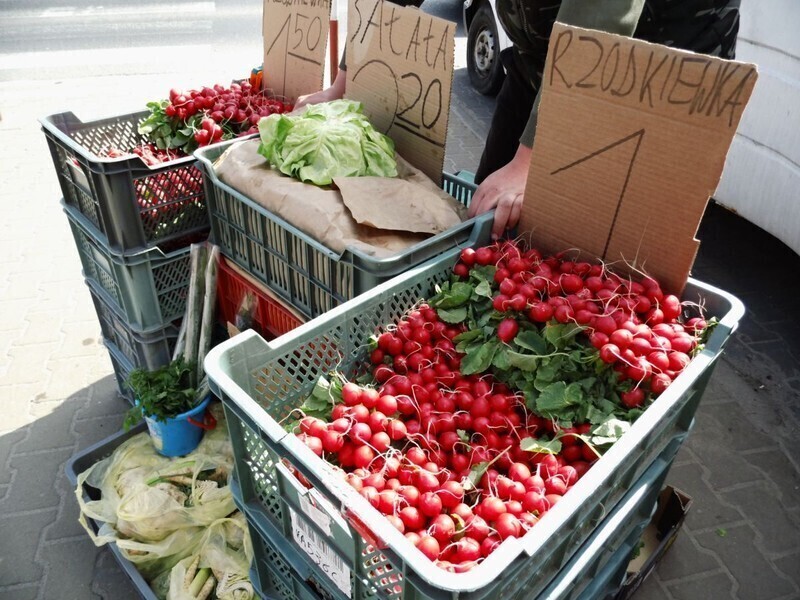 Zdjęcie 2: Ser, kiełbasa i dżemy prosto od chłopa?