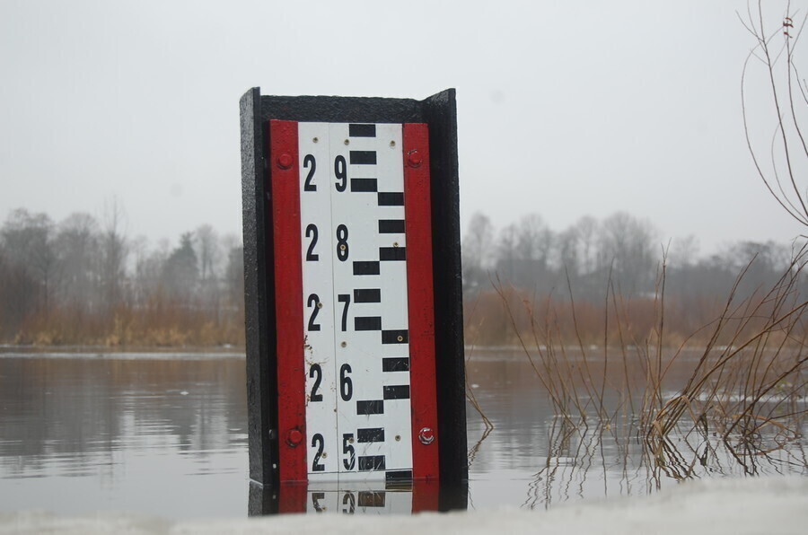 W Sulejowie Pilica przekroczyła stan ostrzegawczy