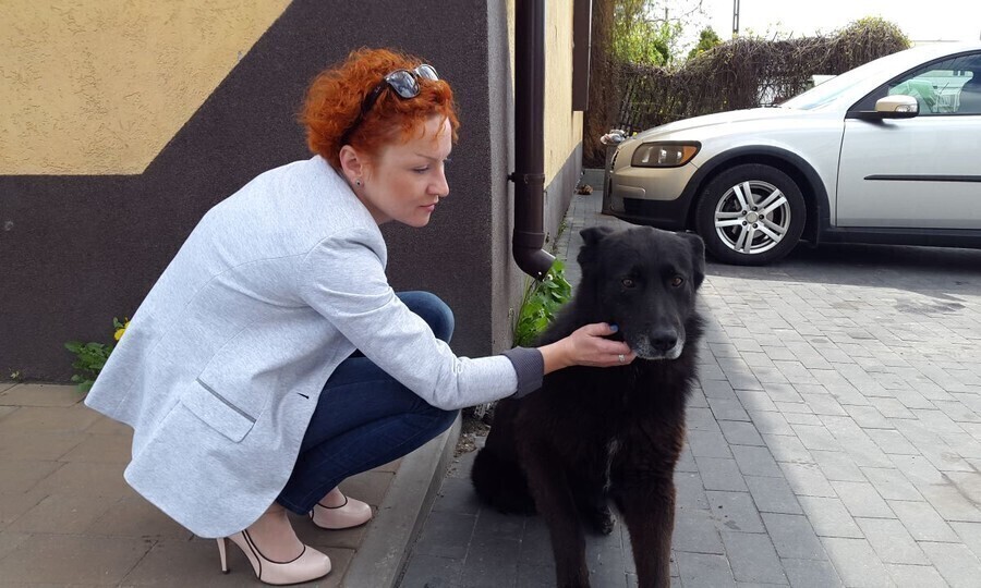 Jego właściciele nie żyją on wciąż czeka