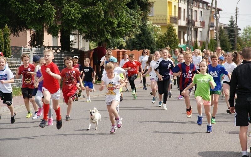 Zdjęcie 1: Wolbórz: Pobiegło ponad 200 osób