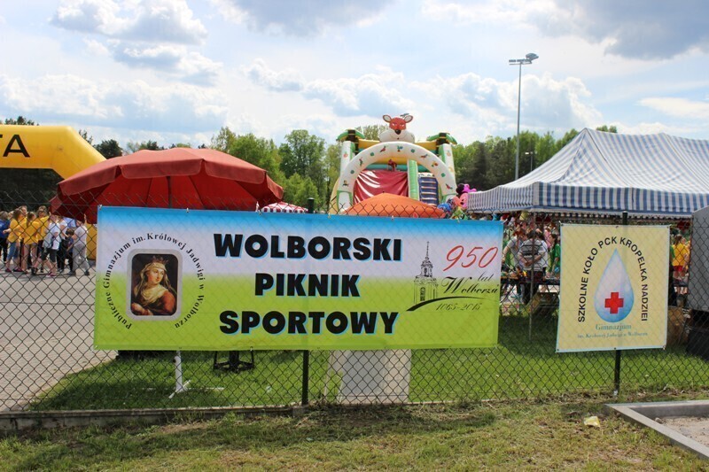 Zdjęcie 3: Wolbórz: Pobiegło ponad 200 osób