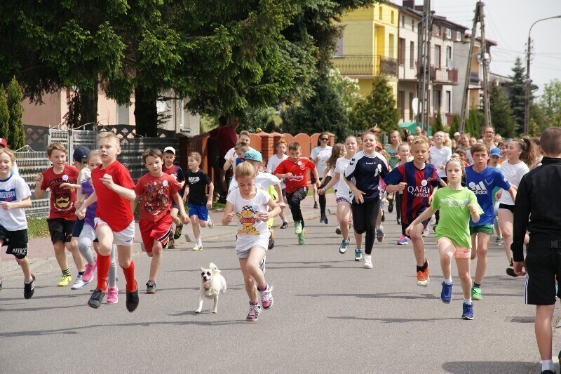 Zdjęcie 11: Wolbórz: Pobiegło ponad 200 osób