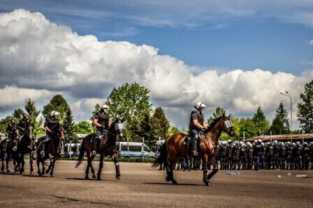 Zdjęcie 2: Czego nie boi się policyjny.... koń?