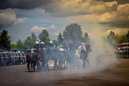 Zdjęcie 6: Czego nie boi się policyjny.... koń?