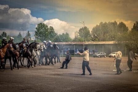 Zdjęcie 7: Czego nie boi się policyjny.... koń?