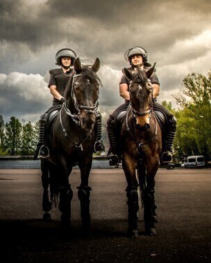 Zdjęcie 8: Czego nie boi się policyjny.... koń?