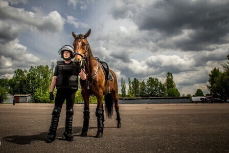 Zdjęcie 9: Czego nie boi się policyjny.... koń?